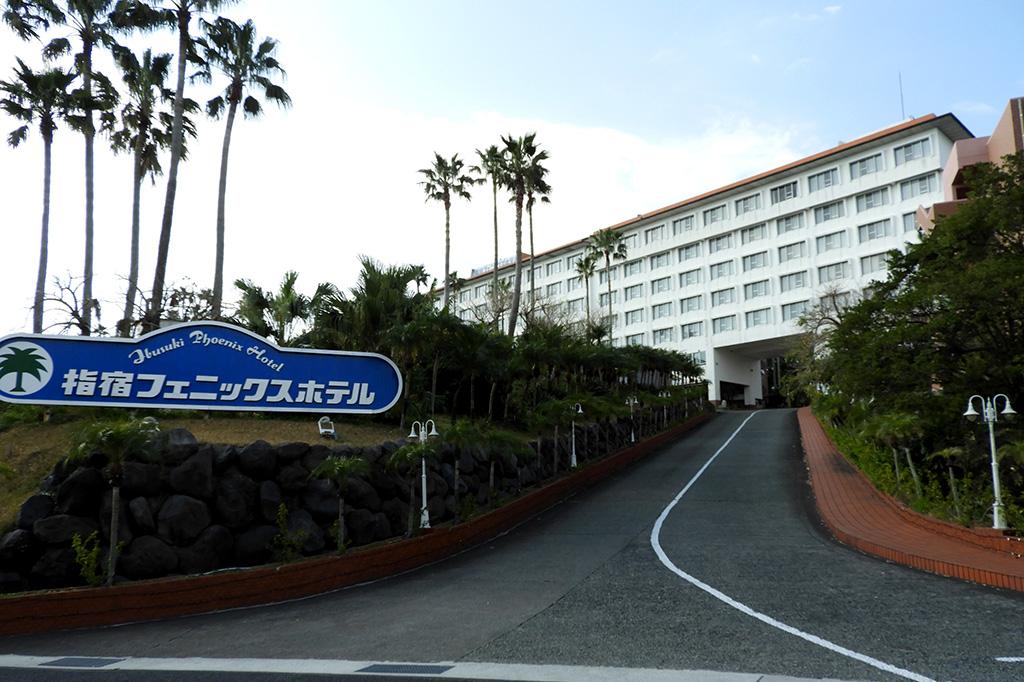 Youri Delhommel Rugby: Missing from Top Rental Platform Contexts